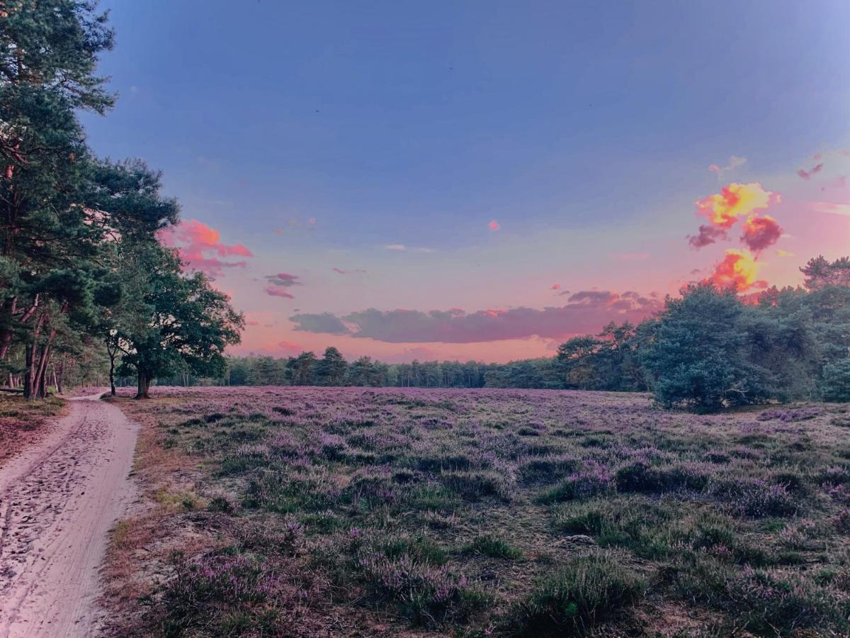 Sluwe Vos: Ontspannen In Het Bos! Otterlo Exterior foto